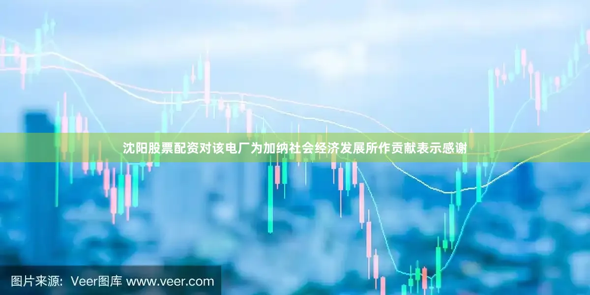 沈阳股票配资对该电厂为加纳社会经济发展所作贡献表示感谢
